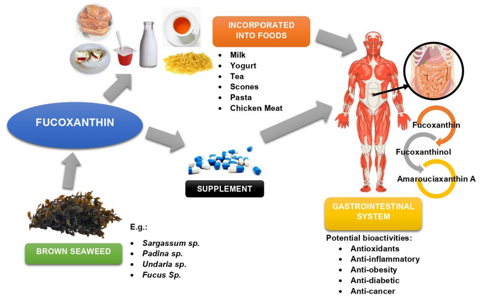 foods-11-02235-ag foods-11-02235-ag