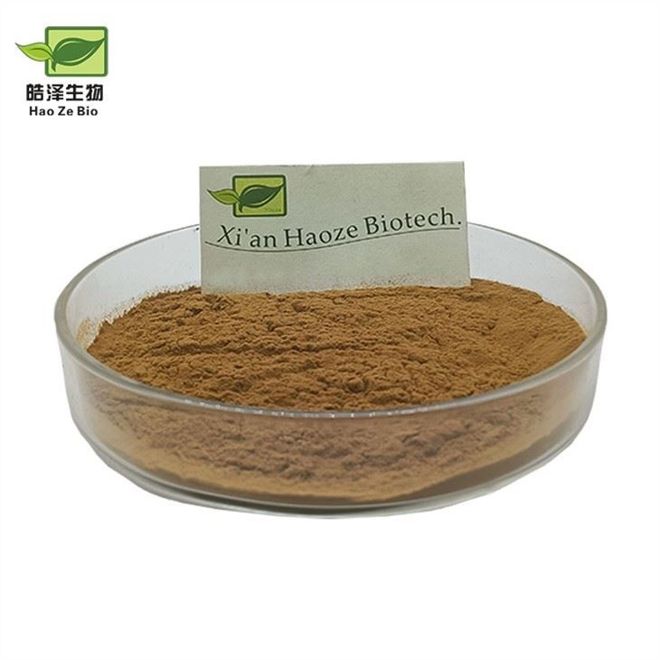 Longan Extract Longan Fruit Powder