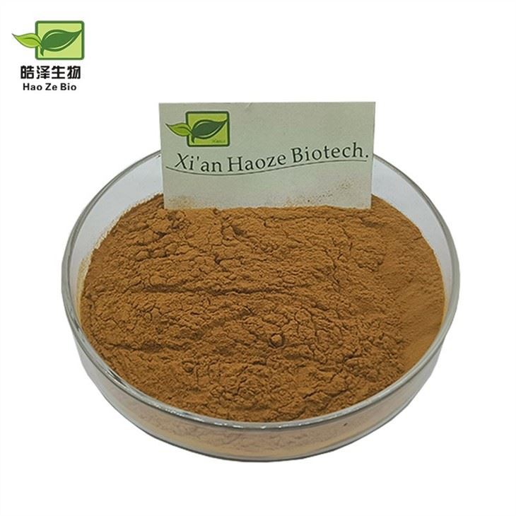 Longan Extract Longan Fruit Powder