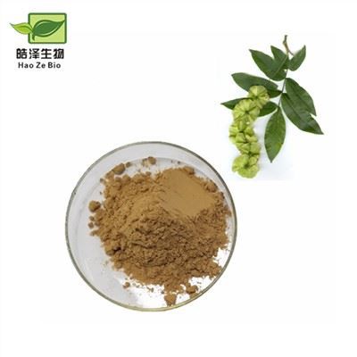 תמצית Cyclocarya Paliurus