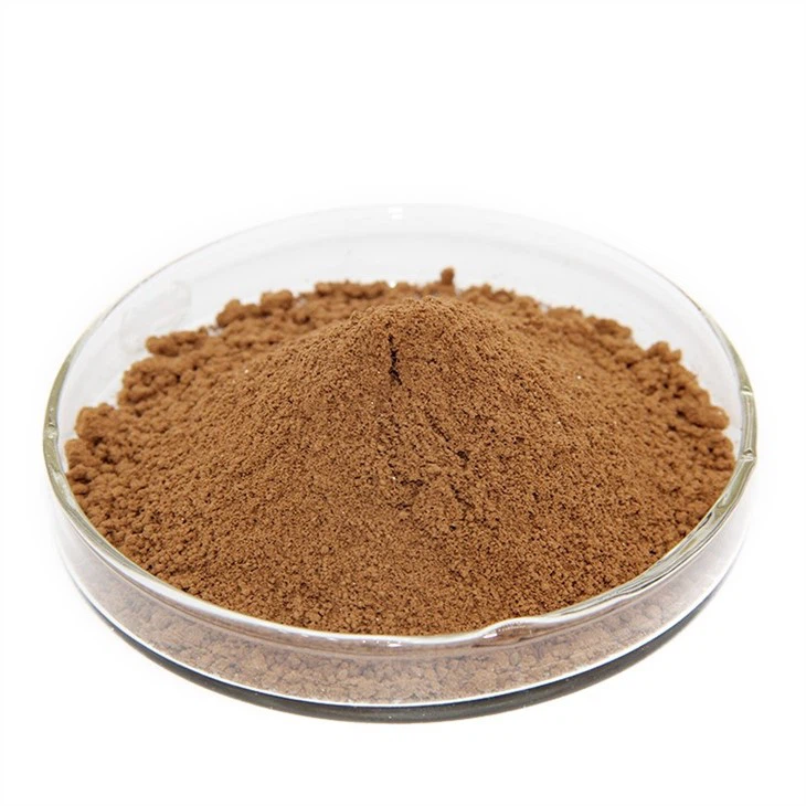 Pine Bark Extract